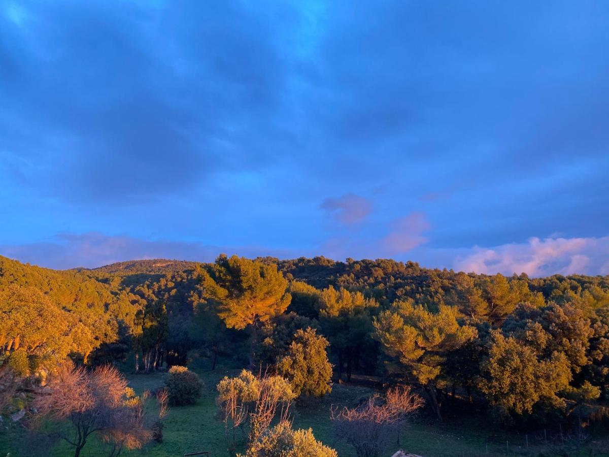Les-Pepites-De-Badou Presentent La Graviere Le Barroux Экстерьер фото